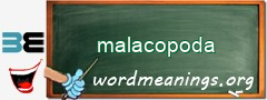 WordMeaning blackboard for malacopoda